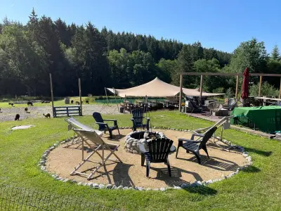 2 hectare natuur in het hart van de Ardennen — foto 1