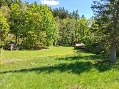 2 hectare natuur in het hart van de Ardennen — foto 2