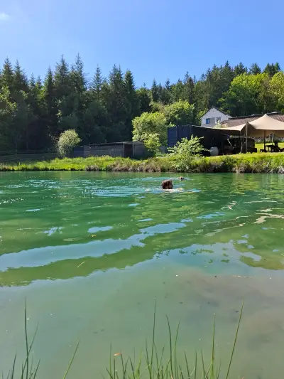 2 hectare natuur in het hart van de Ardennen — foto 3