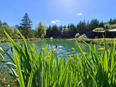 2 hectare natuur in het hart van de Ardennen — foto 4