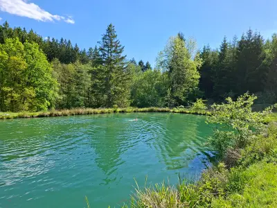 2 hectare natuur in het hart van de Ardennen — foto 5