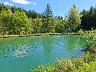 2 hectare natuur in het hart van de Ardennen — foto 6