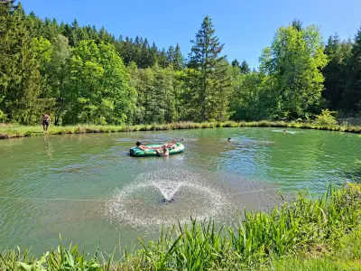 2 hectare natuur in het hart van de Ardennen — foto 8