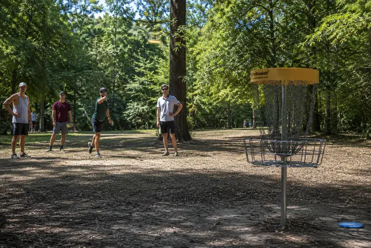 Disc Golf
